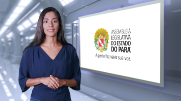 BALANÇO ANUAL DA ALEPA