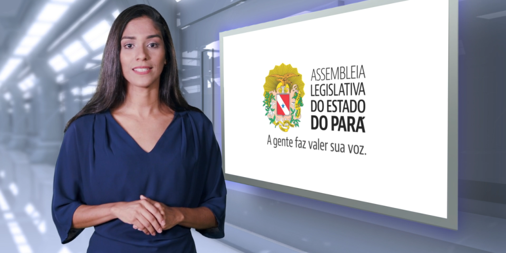 BALANÇO ANUAL DA ALEPA