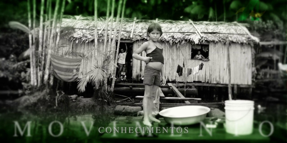 BANCO DA AMAZÔNIA - DIÁRIO DO PARÁ (2011)