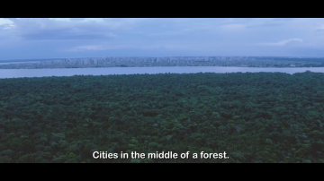 DESCUBRA A AMAZÔNIA
