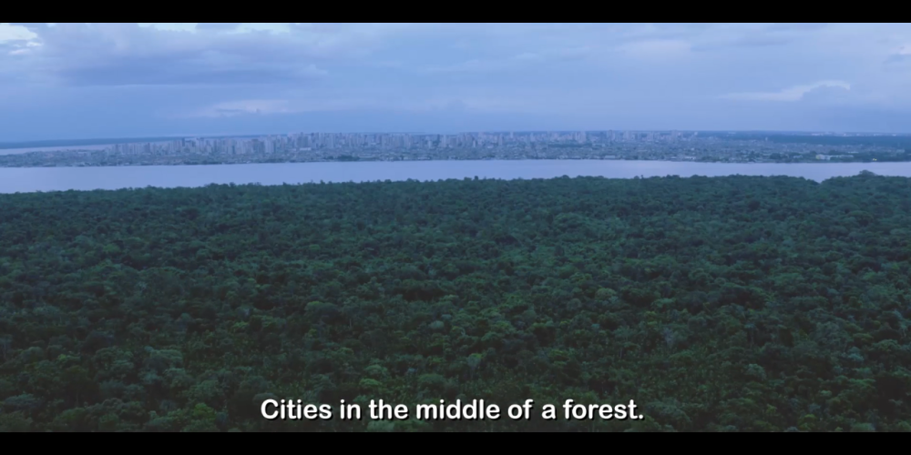 DESCUBRA A AMAZÔNIA