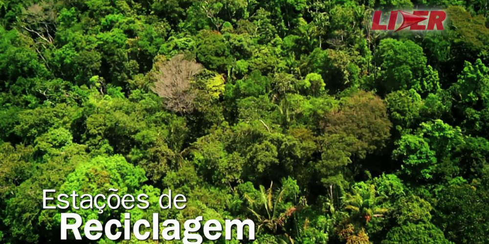 MEIO AMBIENTE - LÍDER (2012)