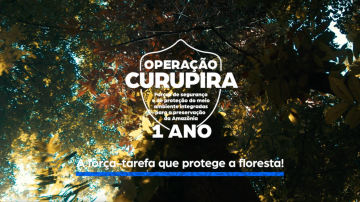 Operação Curupira