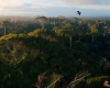 PARÁ SEM FOGO
