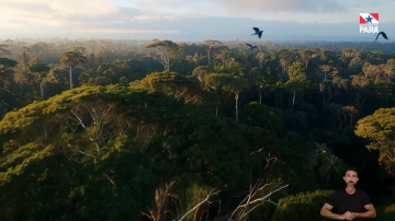 PARÁ SEM FOGO