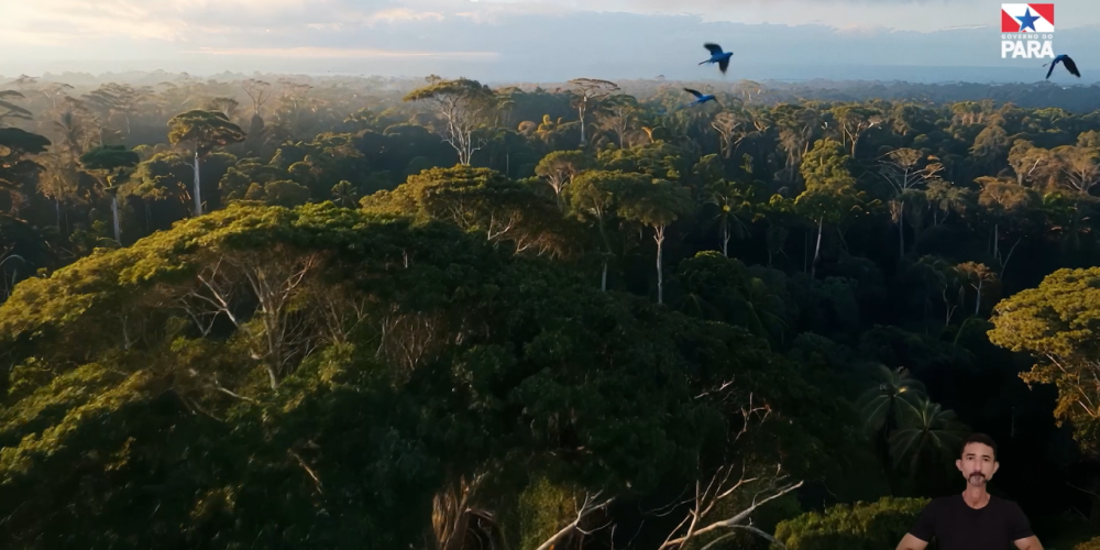 PARÁ SEM FOGO