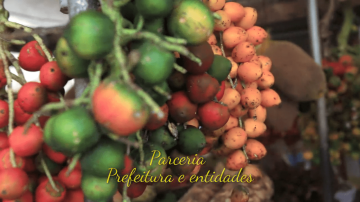 PREFEITURA - GASTRONOMIA CRIATIVA-min