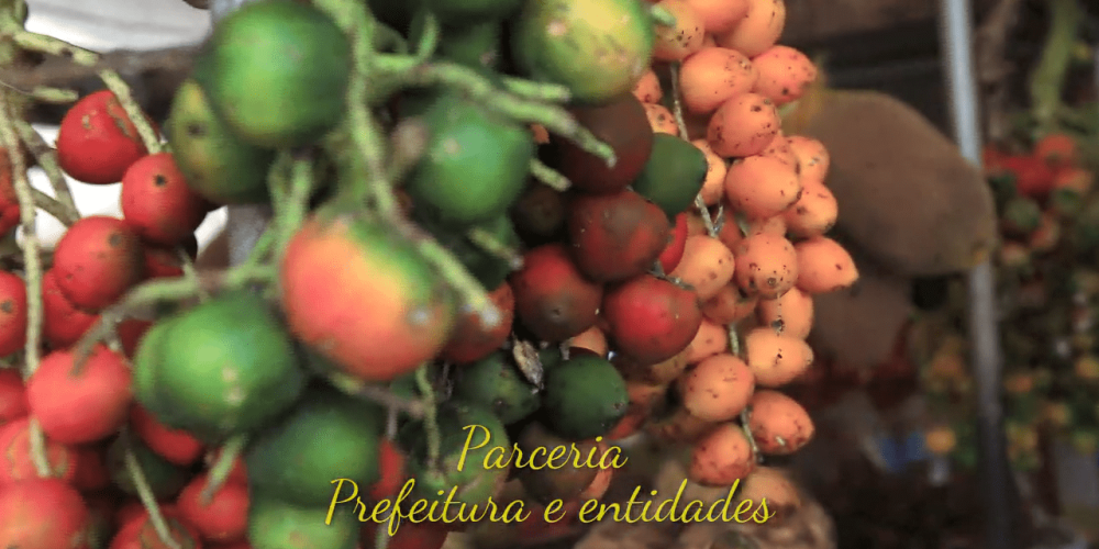 PREFEITURA - GASTRONOMIA CRIATIVA-min
